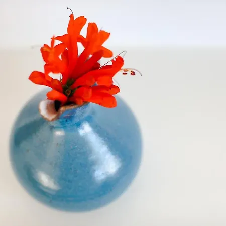 The Cliff Reflections - Adults Only דירה *